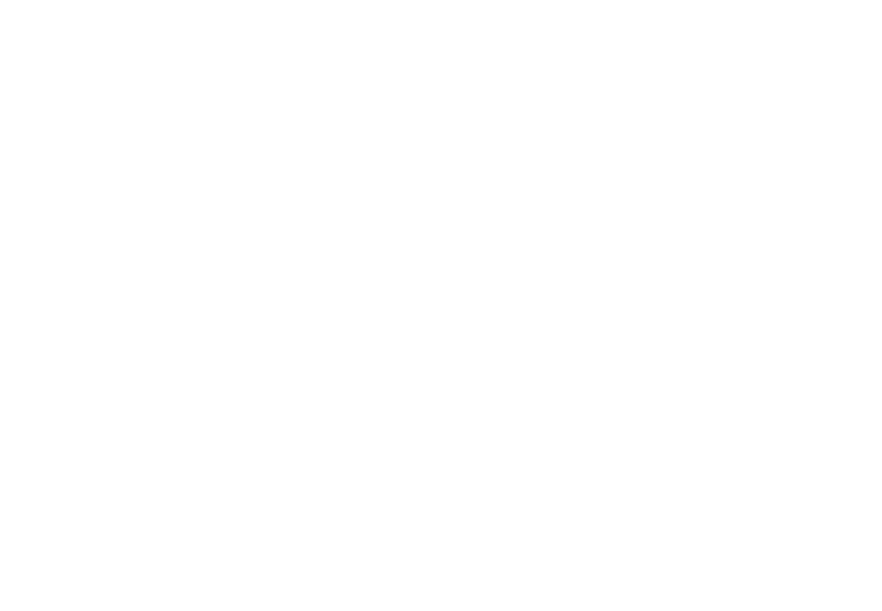 Siirtolaisuusinstituutti logo