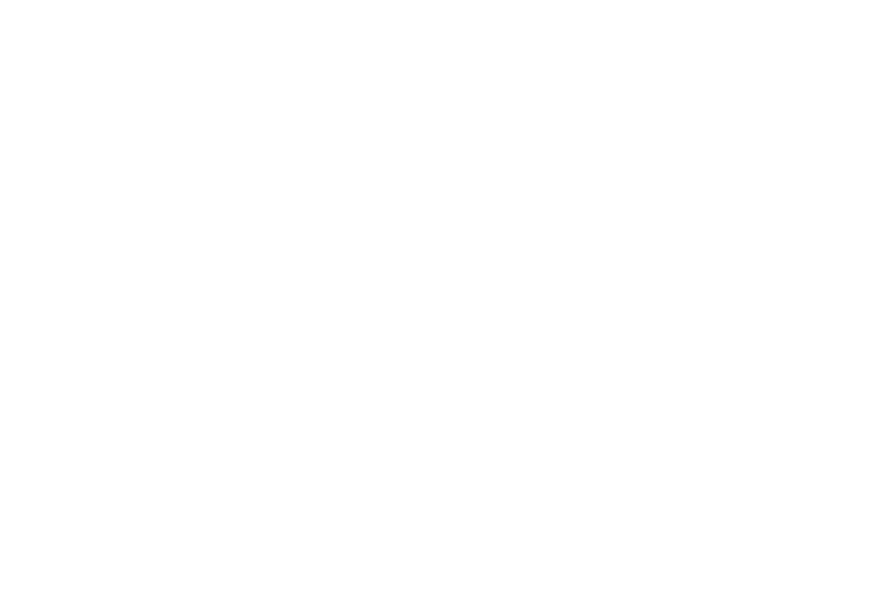 Siirtolaisuusinstituutti logo