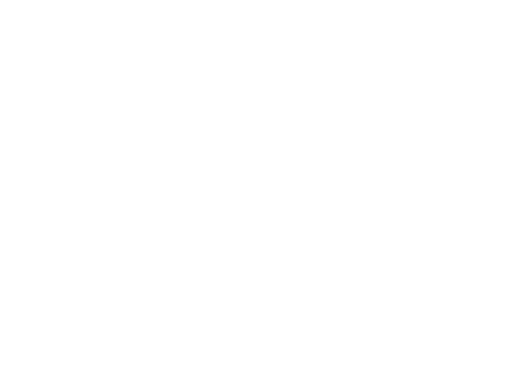 Siirtolaisuusinstituutti logo